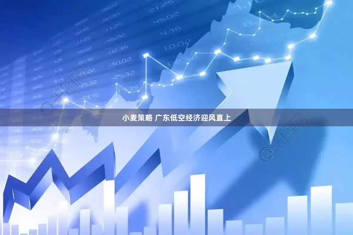 小麦策略 广东低空经济迎风直上