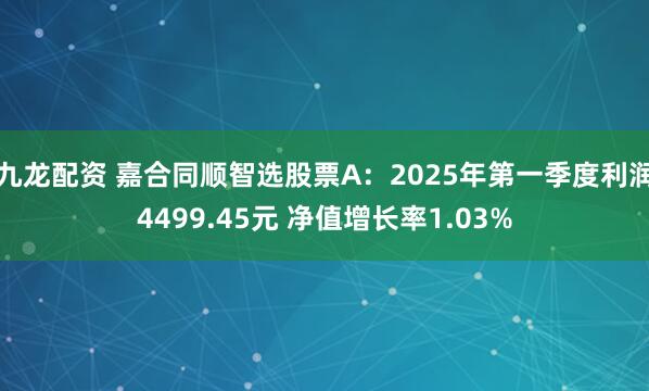 九龙配资 嘉合同顺智选股票A：2025年第一季度利润4499.45元 净值增长率1.03%