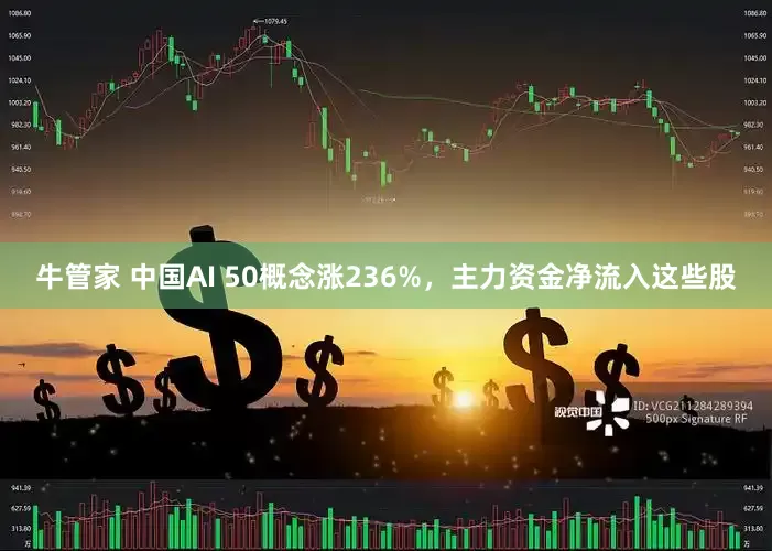 牛管家 中国AI 50概念涨236%，主力资金净流入这些股