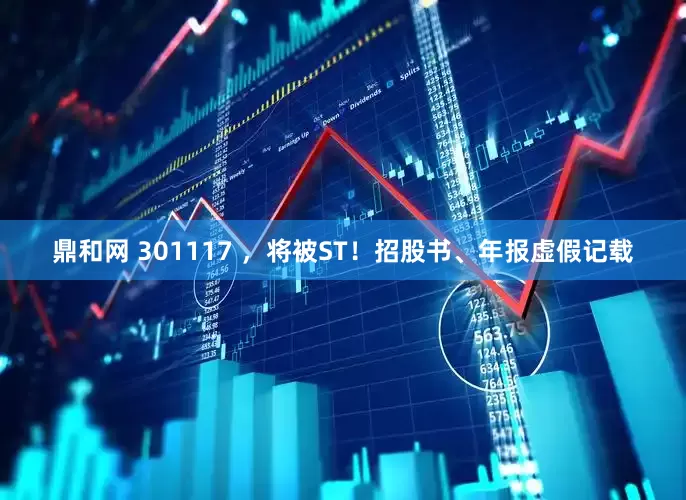 鼎和网 301117 ，将被ST！招股书、年报虚假记载
